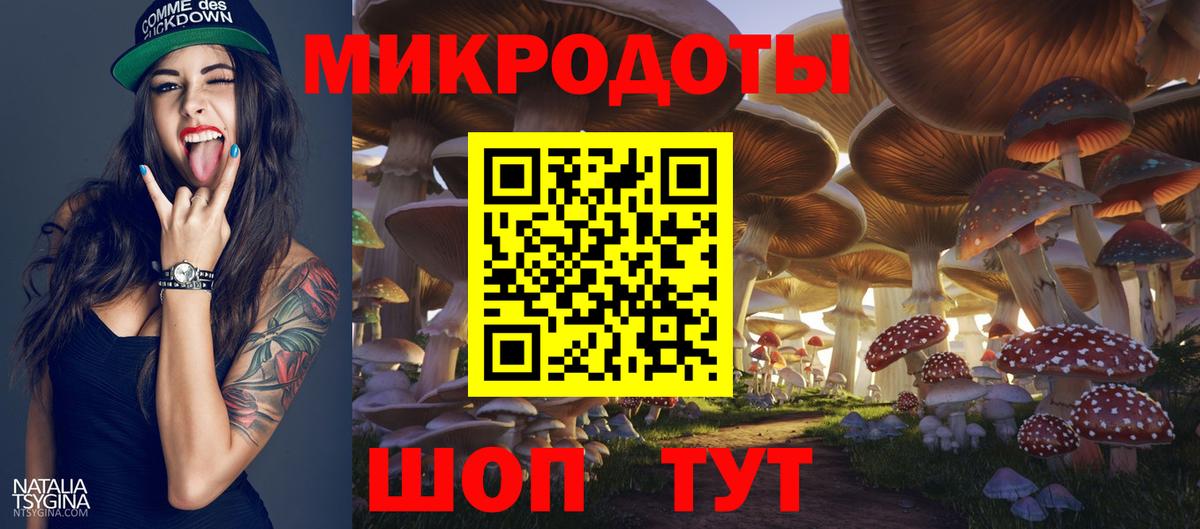 Псилоцибиновые грибы прущие грибы Великие Луки